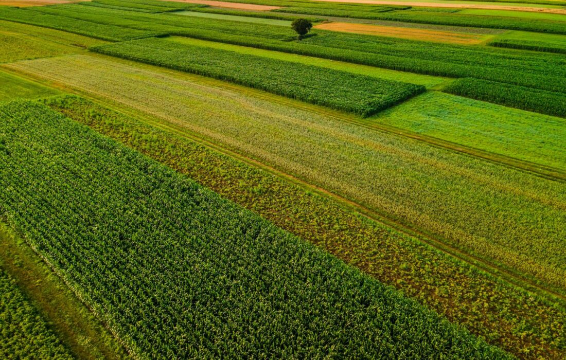 آزاد سازی ۱۲ هزار مترمربع از اراضی کشاورزی ازنا